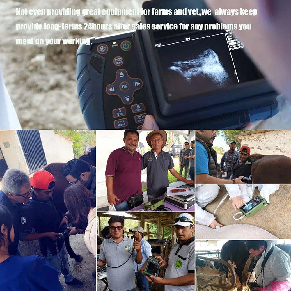 Dawei Portable Veterinary Ultrasound Scanner 3.5 Mhz Rectal Probe