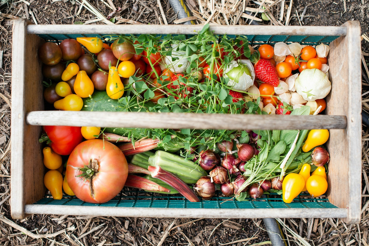 Self-Sufficiency