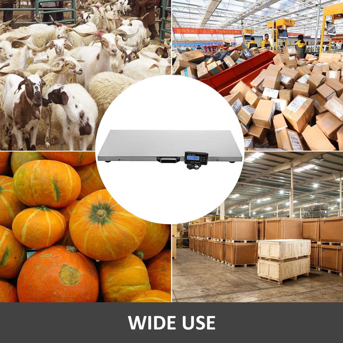 Digital Stainless Steel Livestock Scale For Pets And Shipping Use
