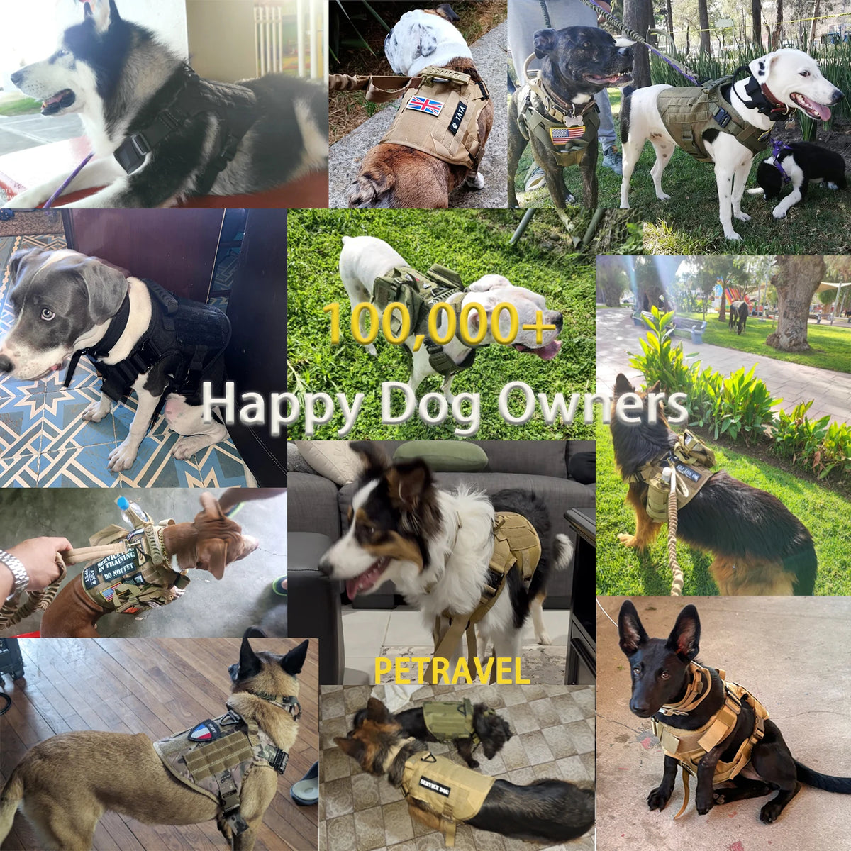 Tactical Padded Nylon Dog Harness For Walking And Training