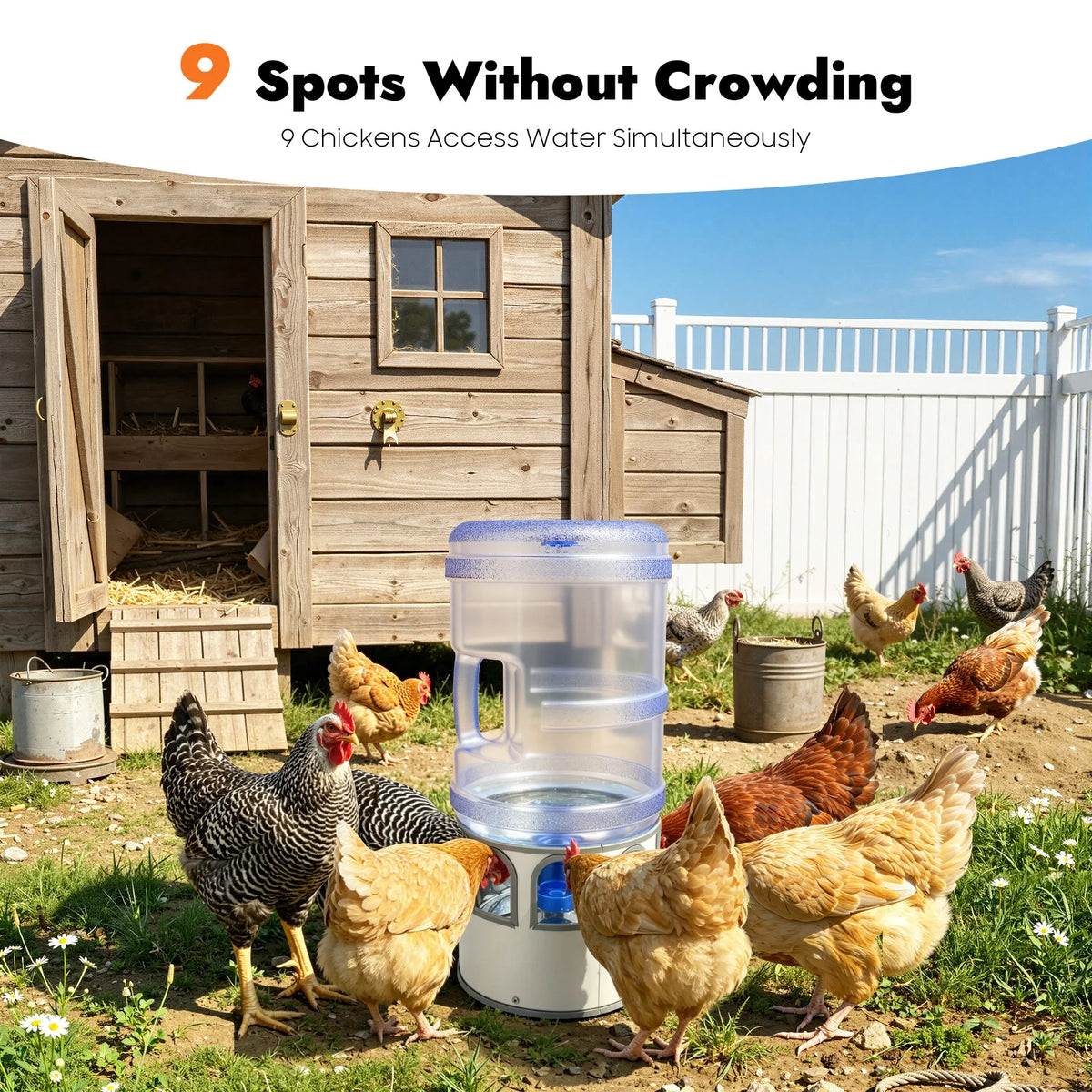 Automatic Heated Chicken Water Bowl For Poultry And Birds