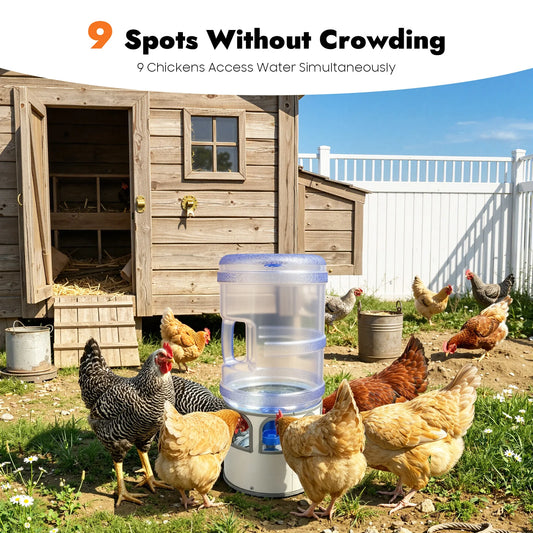 Automatic Heated Chicken Water Bowl For Poultry And Birds