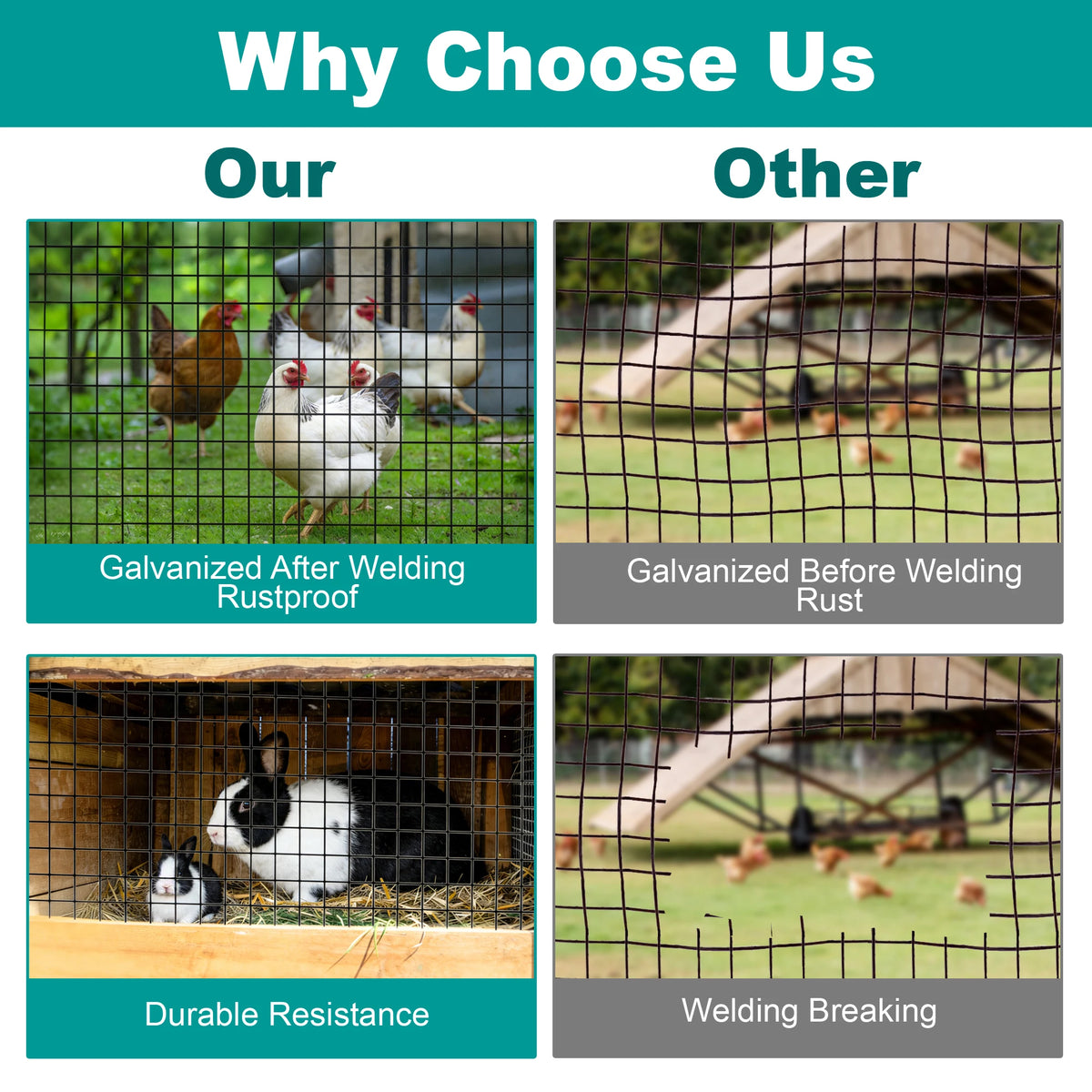 PVC Wire Mesh Roll For Chicken Coop And Poultry Netting