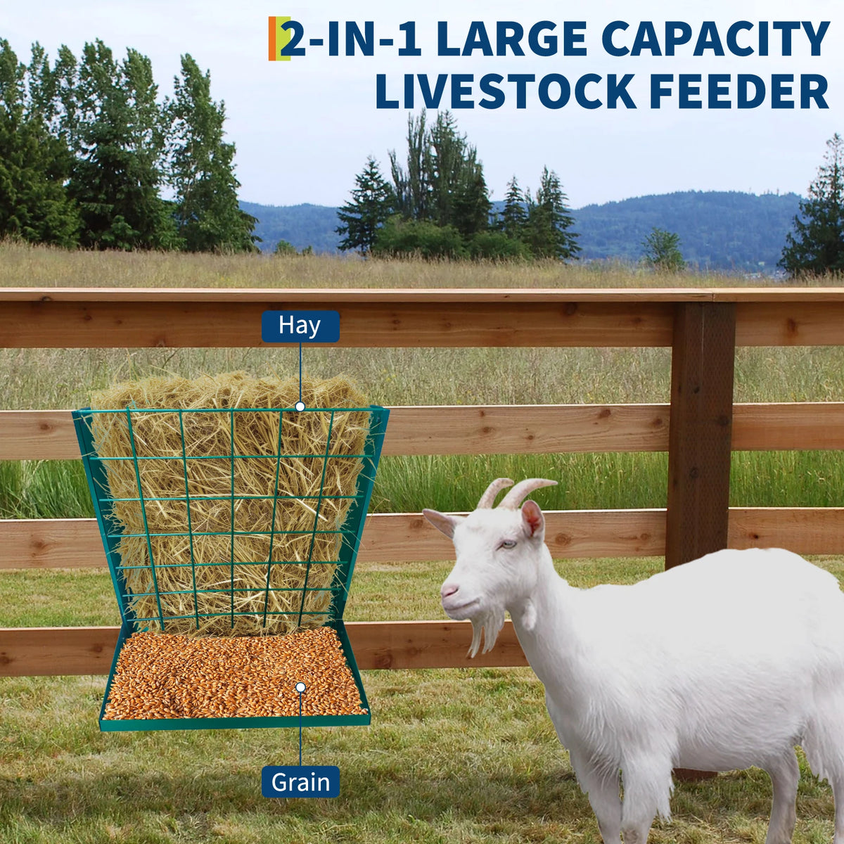 2-in-1 Livestock Hay And Grain Feeder Wall Mounted Farm Equipment