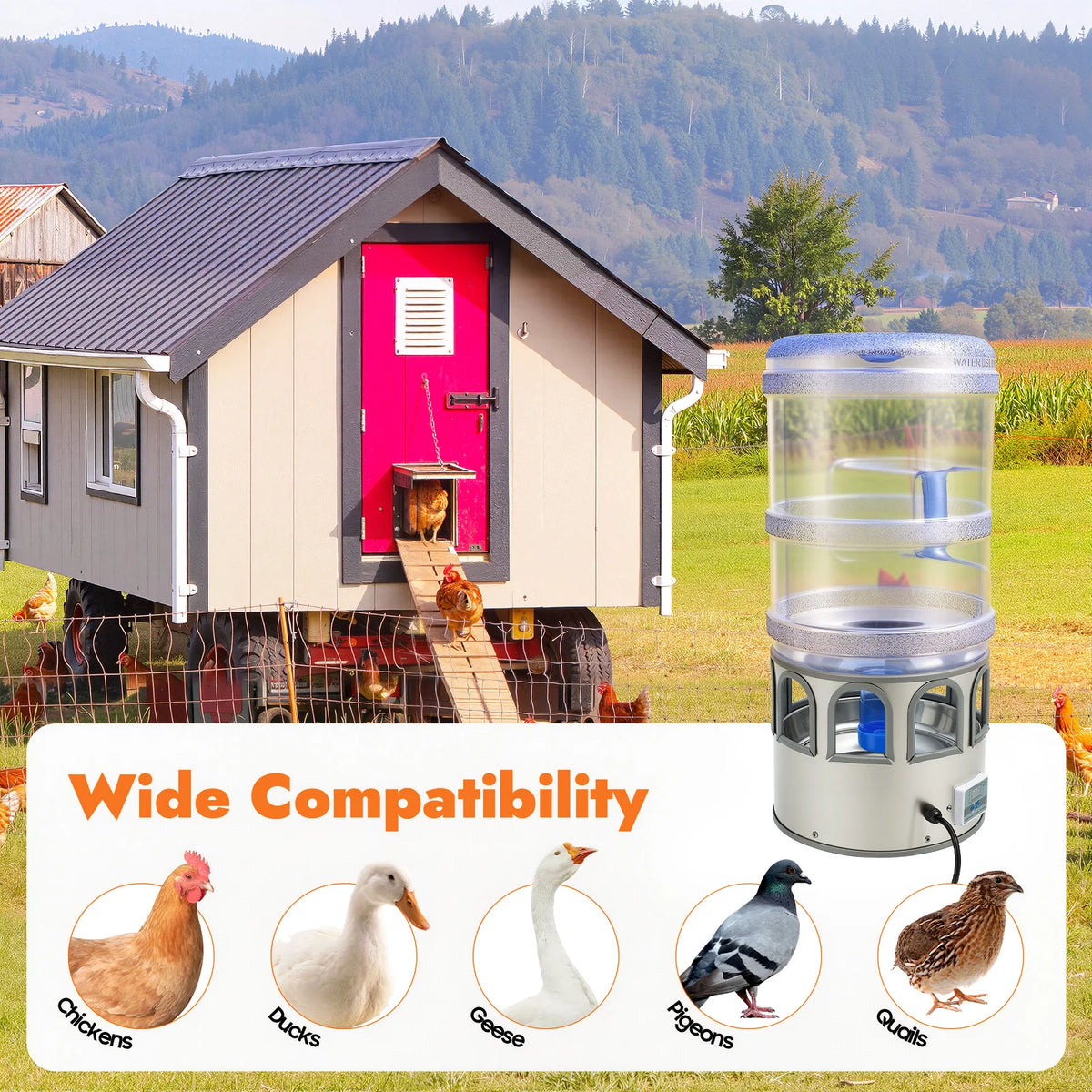 Automatic Heated Chicken Water Bowl For Poultry And Birds