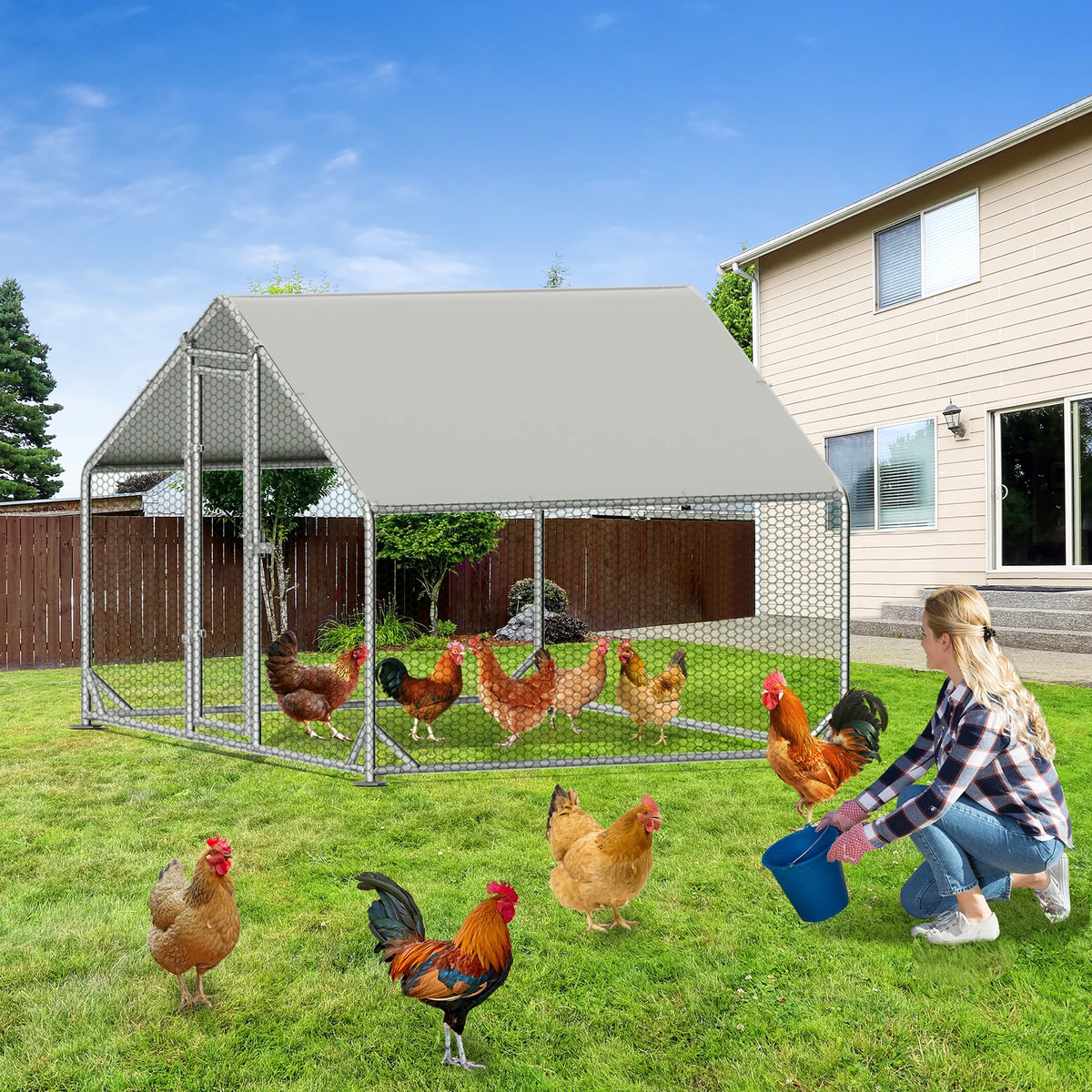 Portable Metal Walk In Chicken Coop And Outdoor Run