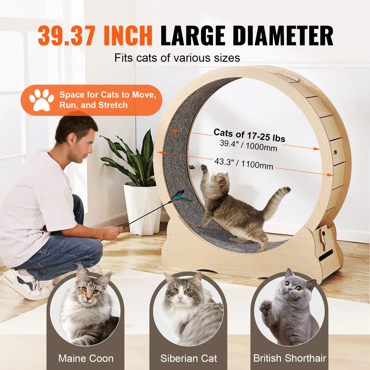 Wooden Indoor Cat Exercise Wheel With Detachable Carpet And Teaser