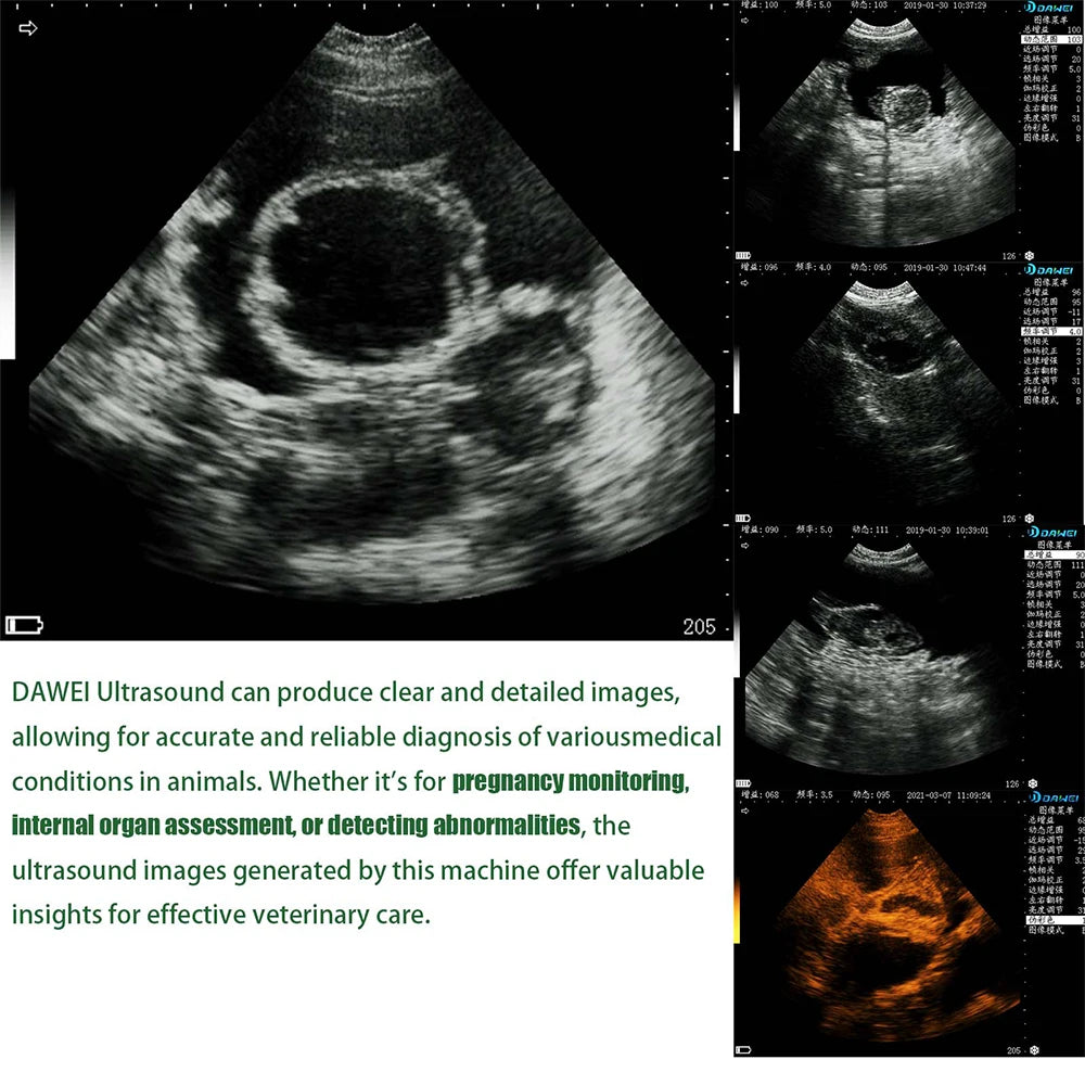 Dawei Portable Veterinary Ultrasound Scanner 3.5 Mhz Rectal Probe