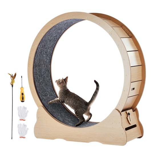 Wooden Indoor Cat Exercise Wheel With Detachable Carpet And Teaser